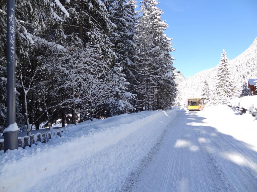 Chalet Pineta Relax Location Канацеи Экстерьер фото